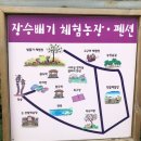 천안장승배기펜션 | [천안 동남구 펜션] 장승배기체험농장펜션 다녀왔습니다.