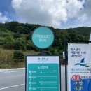 충북 증평군 색다른 체험이 가능한 블랙스톤 벨포레 익스트림 루지/목장 나들이 내 돈 내산 후기