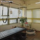 라이프발란서 | 파주시 필라테스 핑크핏 라이프발란서 내용가격운영시간주차리뷰 알아보기