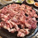 햇살마루 청둥오리 이미지