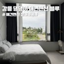 강릉댕댕이애견펜션블루 | 강릉 댕댕이 애견펜션 블루 비숑201 후기 개인실내바베큐 애견펜션추천