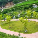 대장경오토캠핑장 이미지