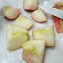 나드리추어탕 | 2025 핑애픽, 먹거리 리뷰 10탄!!