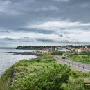 해안도로캠핑 이미지