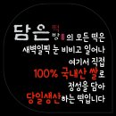 담은떡방