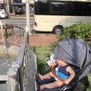 레몬트리영어교습소 - 강남구 남부순환로365길 22 | 레몬트리영어교습소
