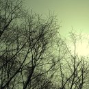 약수 낚시터 이미지