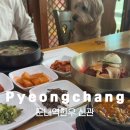 둔내호텔 | [강원도] 이동장 없어도 애견동반가능한 둔내역한우신관 솔직후기
