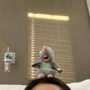창대미즈(주) | 서울미즈병원에서 근종 제거 전 건강검진과 수혈 받은 후기①