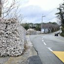 사등면사무소 이미지