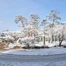전주고등학교 이미지