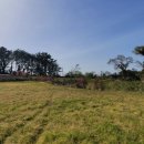 제주탄탄공인중개사사무소 이미지