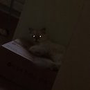 아무쪼록 원하는 거 다들 이루시길 바랍니다