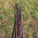 Royal Saddle Equestrian Society | 나무로 된 채찍, 그 의미