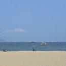 송도해수욕장 이미지