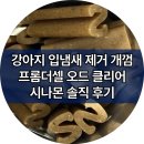 뽀뽀스틱으로 유명한 프롬더셀 시나몬향 개껌으로 강아지 입냄새 해결