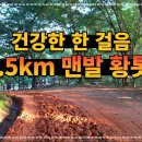 [종료] 5.5일 계족산 황토길 가요 6명 이미지
