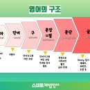 굿모닝영어교실 이미지