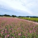 나리목장 이미지