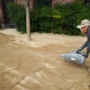 창원 해돋이 유치원 이미지