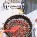 중리초등학교 이미지