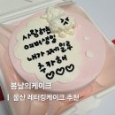 봄날의 강아지 | 울산 레터링케이크 맛집 내돈내산 북구 매곡 봄날의케이크