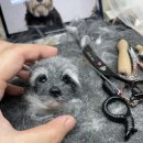 씨씨크래프트