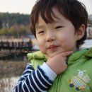 자라나는새싹