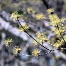 프라임캠핑장 이미지