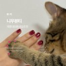 대구 달서구 네일샵 꼼꼼하게 잘하는 계대네일 니우뷰티