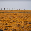 어울림목장 이미지