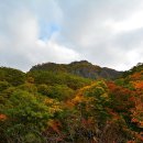 부산진 우체국 앞 이미지