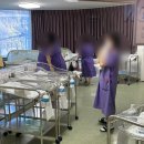 로하스 동물병원 | [출산] 대구 지온산후조리원 VIP룸 13박 14일 2주 후기