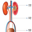 아이붐Lab 티스토리