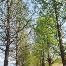 화수공원 이미지