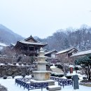 영주 이미지