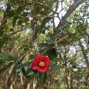 ㈜굿투어대한관광 | 전라남도 광양 가볼 만한 곳, 대한 식당 (관광 미션투어)