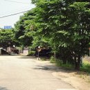 명진밥상 - 여수시 | 명진밥상