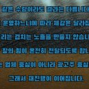 퍼스트광고전단 네이버블로그