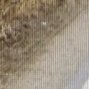 MS행정사사무소 이미지