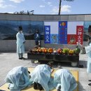 강서구-33 이미지