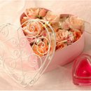 100가지의 사랑 이미지