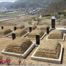 부여장묘관리