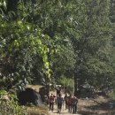 영동 송호관광단지 트레킹 이미지