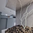 송정카클리닉 | 마곡 클리닉 잘하는 미용실 │ 윤기나는 긴머리 카나토클리닉 레이어드컷 은결하다 2호점