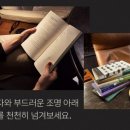 씨집시 이미지