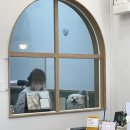 뽀송이 멍살롱 이미지