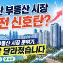 수영탑부동산공인중개사사무소 | 부산 부동산 시장 반전 신호탄? 부산 부동산 시장 분위기, 정말 달라졌습니다