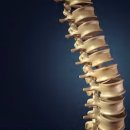 참신경외과의원 이미지