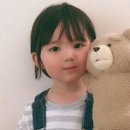 진화 주식회사 이미지